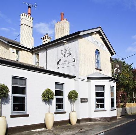 The Dog And Duck Suffolk Leilighet Woodbridge Eksteriør bilde